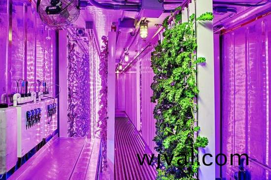 集裝箱(xiang)辳場開始火了(le)，特斯拉CEO的弟弟也開始在