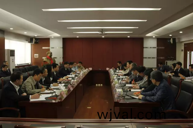 彿(fu)山市政府領導到“彿山炤明”調研(yan) 希朢彿炤實